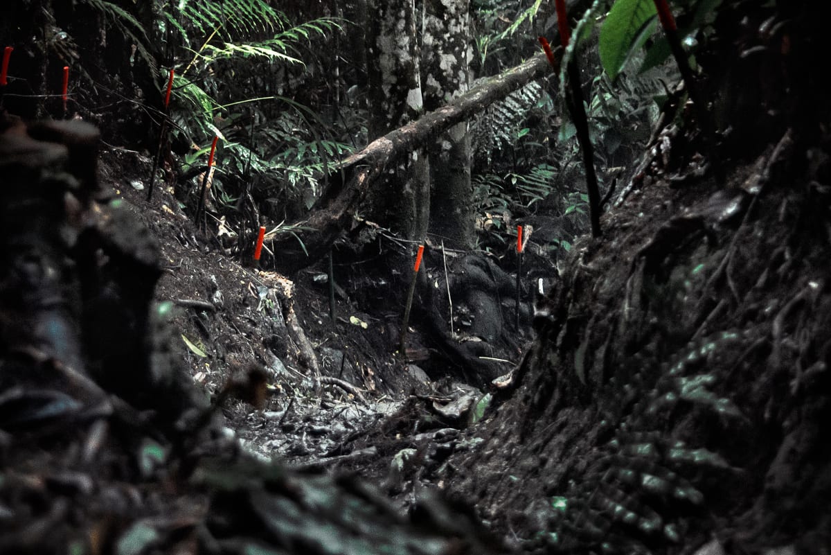 Campos Minados - In Depth (Landmines)/ Colombian Series by Alice Miceli 