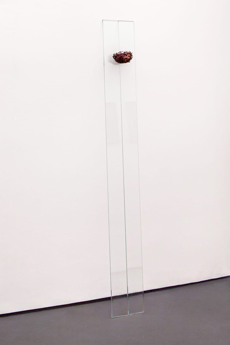 Porninho by Ana Paula Oliveira 