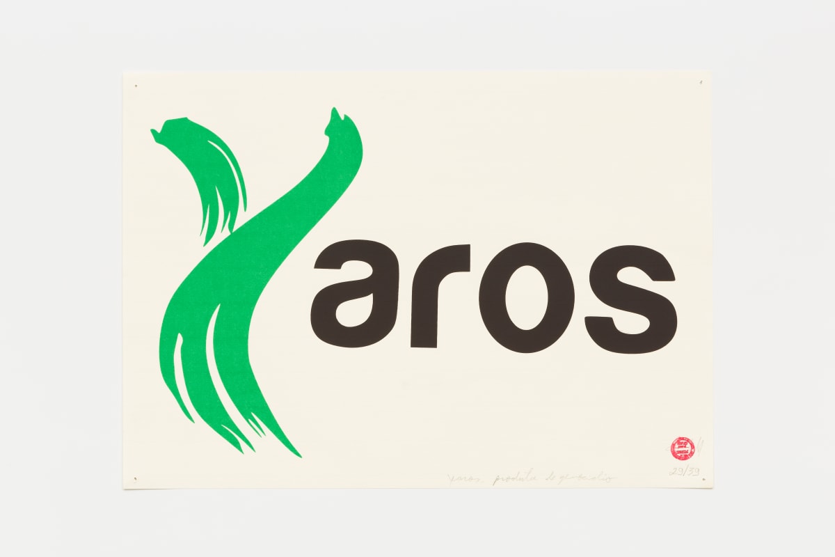 Aros by Paulo Nazareth 