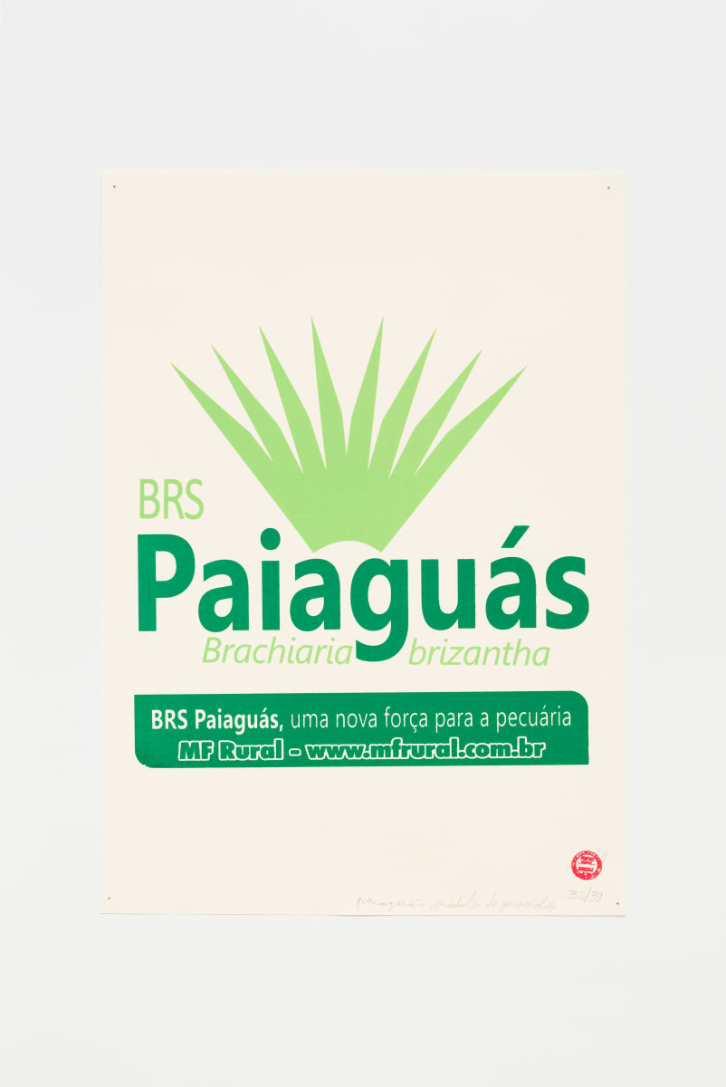 Paiaguás by Paulo Nazareth 