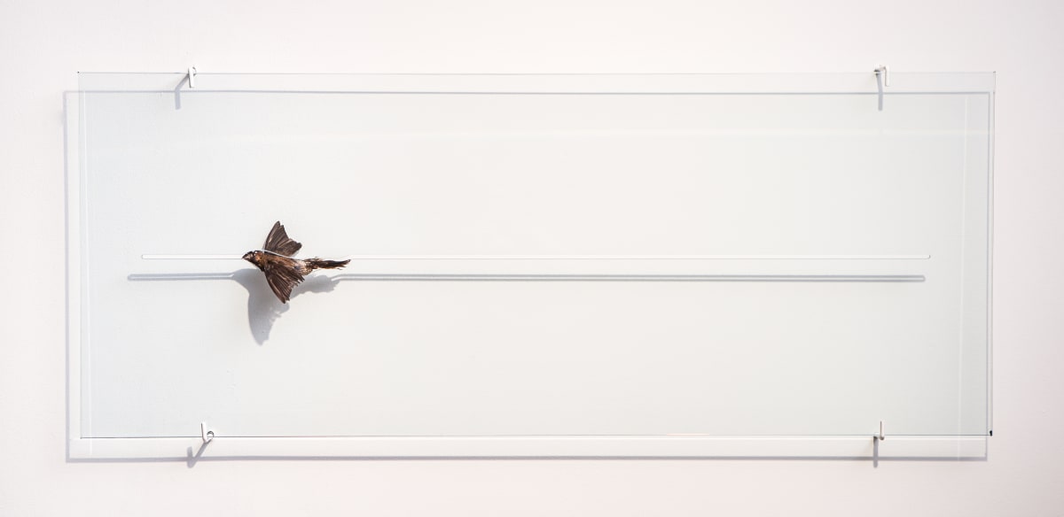 Da série Vistaña by Ana Paula Oliveira 