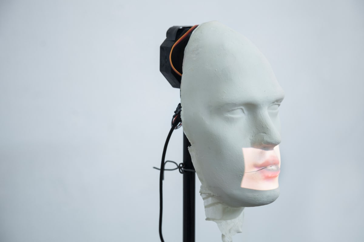 Vedetes by Ilê Sartuzi 