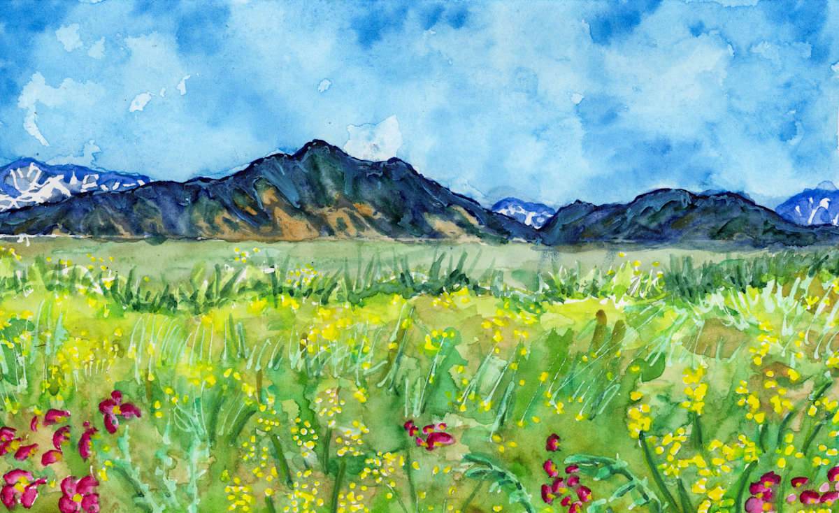 Yellow, Blue and Flatirons Too by Rachael LaMielle 