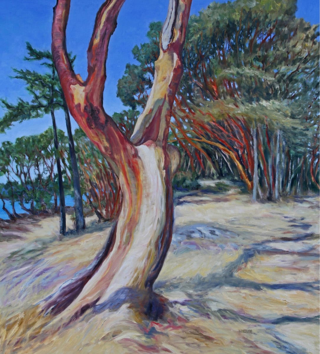 Arbutus on Saint John Point by Terrill Welch, Image 1.