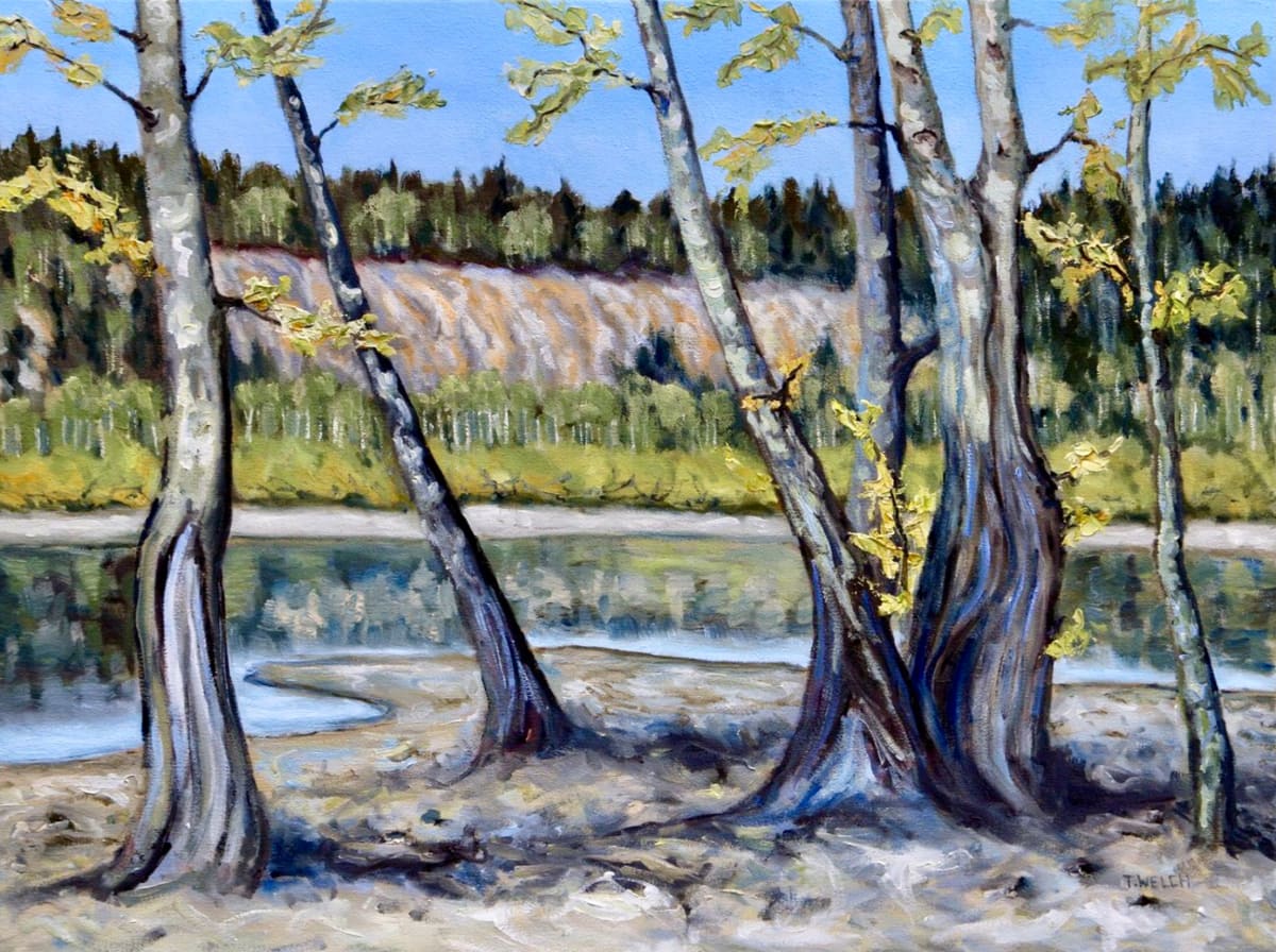 Dancing by the Water by Terrill Welch, Image 1.