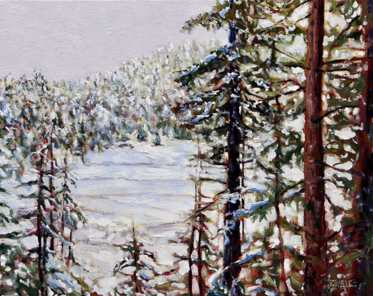 Valley with Fresh Snow by Terrill Welch, Image 1.