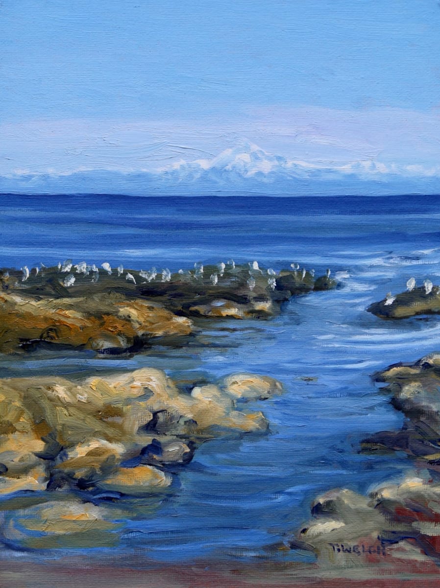Reef Bay Afternoon by Terrill Welch 