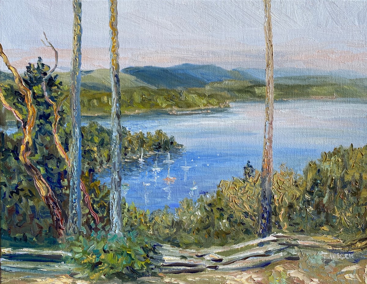 Morning View Above Village Bay by Terrill Welch 