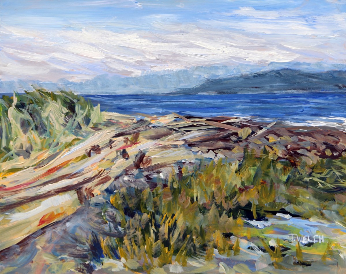 A Grassy Point Morning on Hornby Island by Terrill Welch  