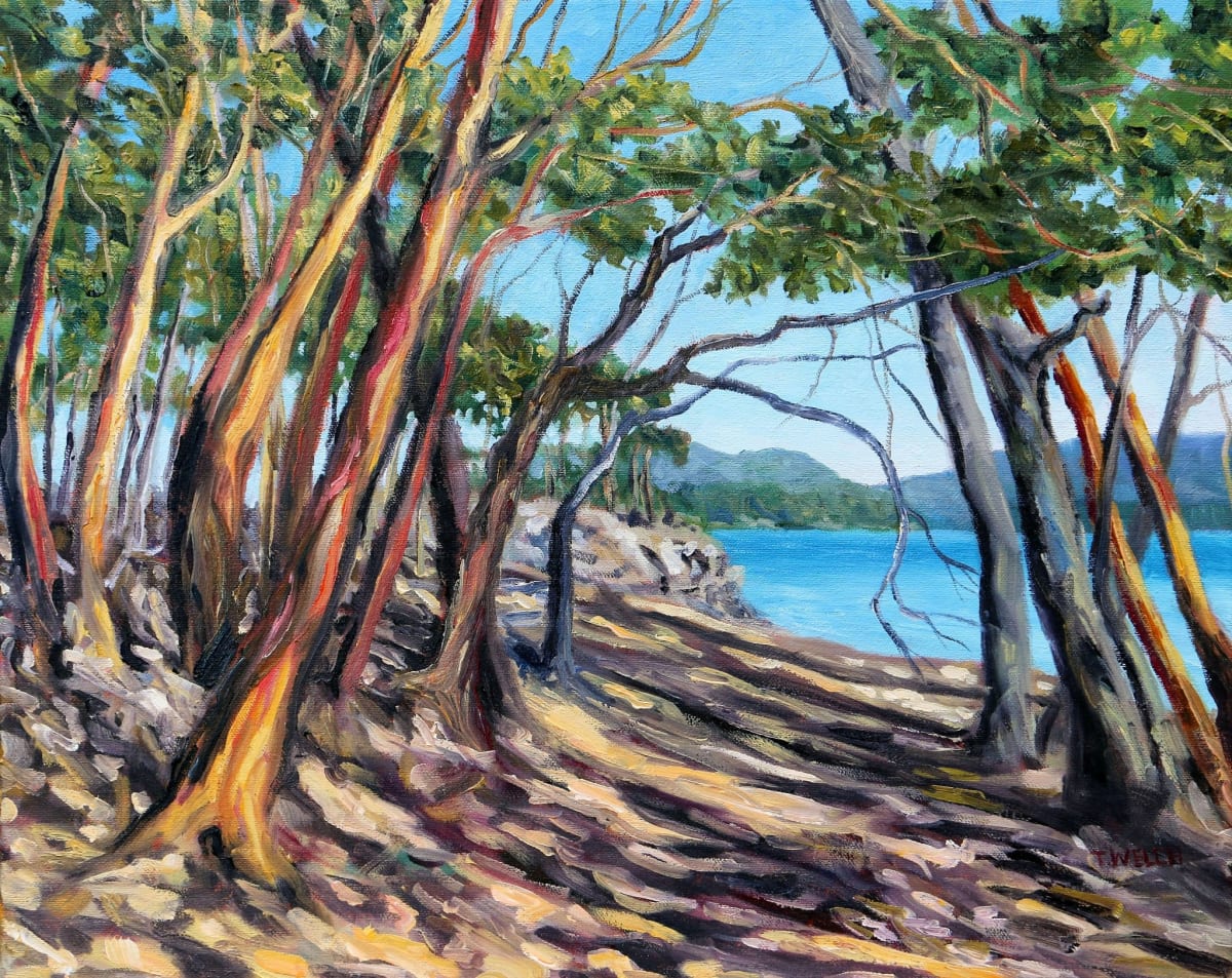 Arbutus Grove East by Terrill Welch  