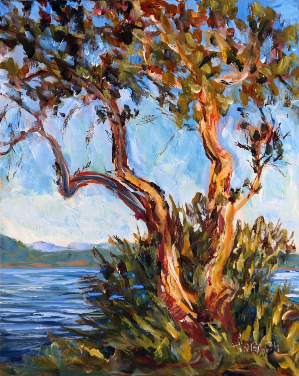 Arbutus Over Sansum Narrows Salt Spring Island by Terrill Welch  