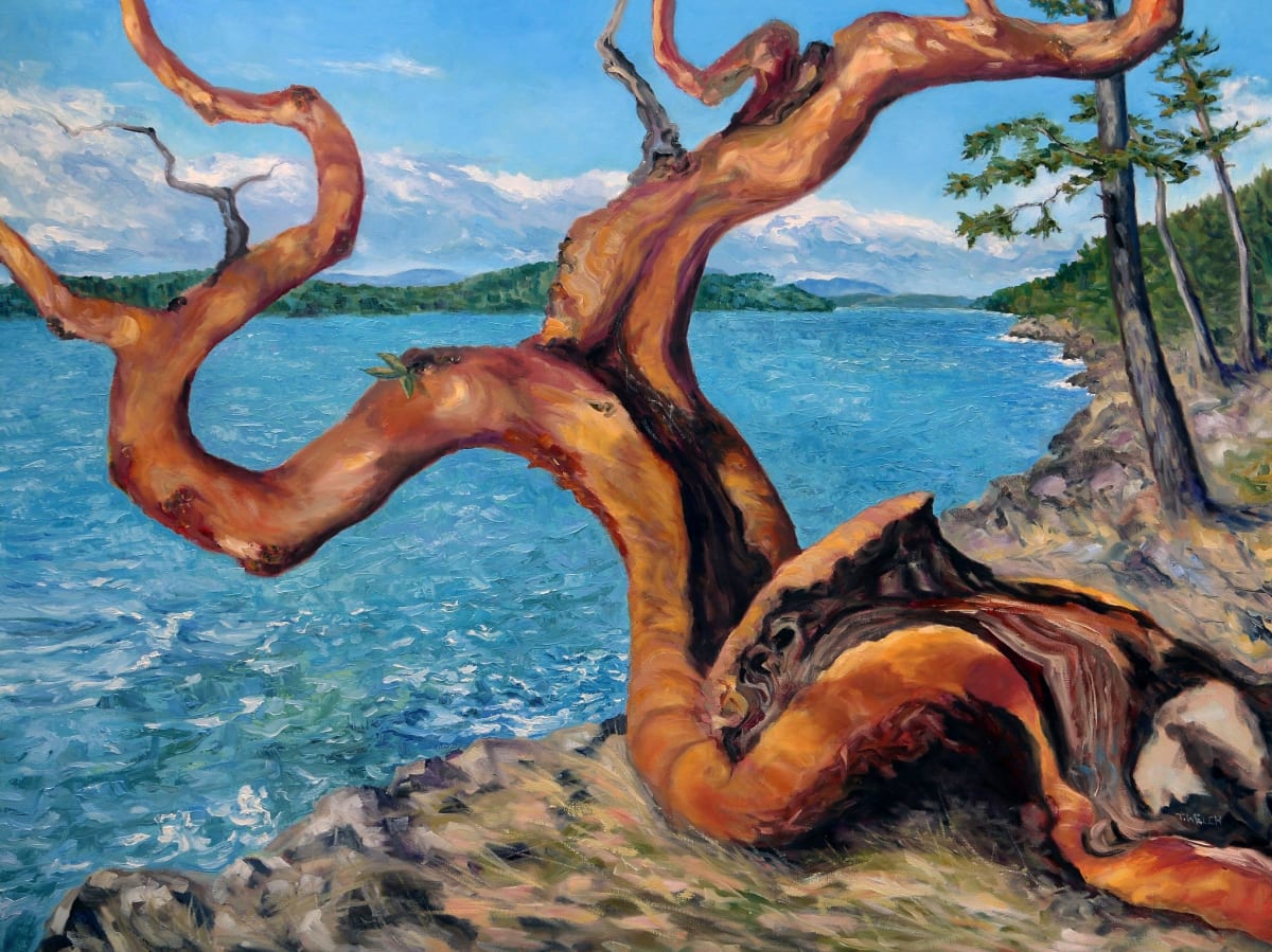 Arbutus Tree in Breaking Sun by Terrill Welch  