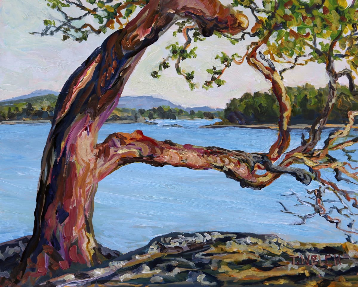 Arbutus Tree with a View by Terrill Welch 