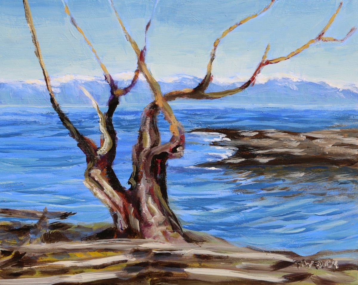 Arbutus Trunks Against the Salish Sea by Terrill Welch  