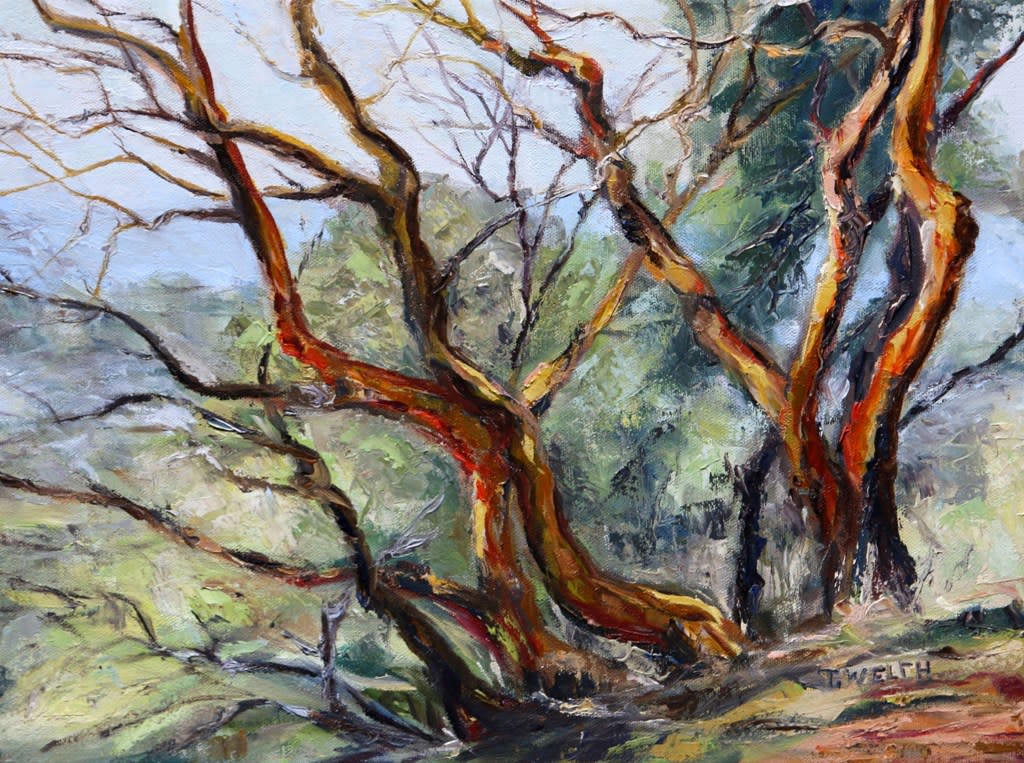 Arbutus on Mt. Parke by Terrill Welch  