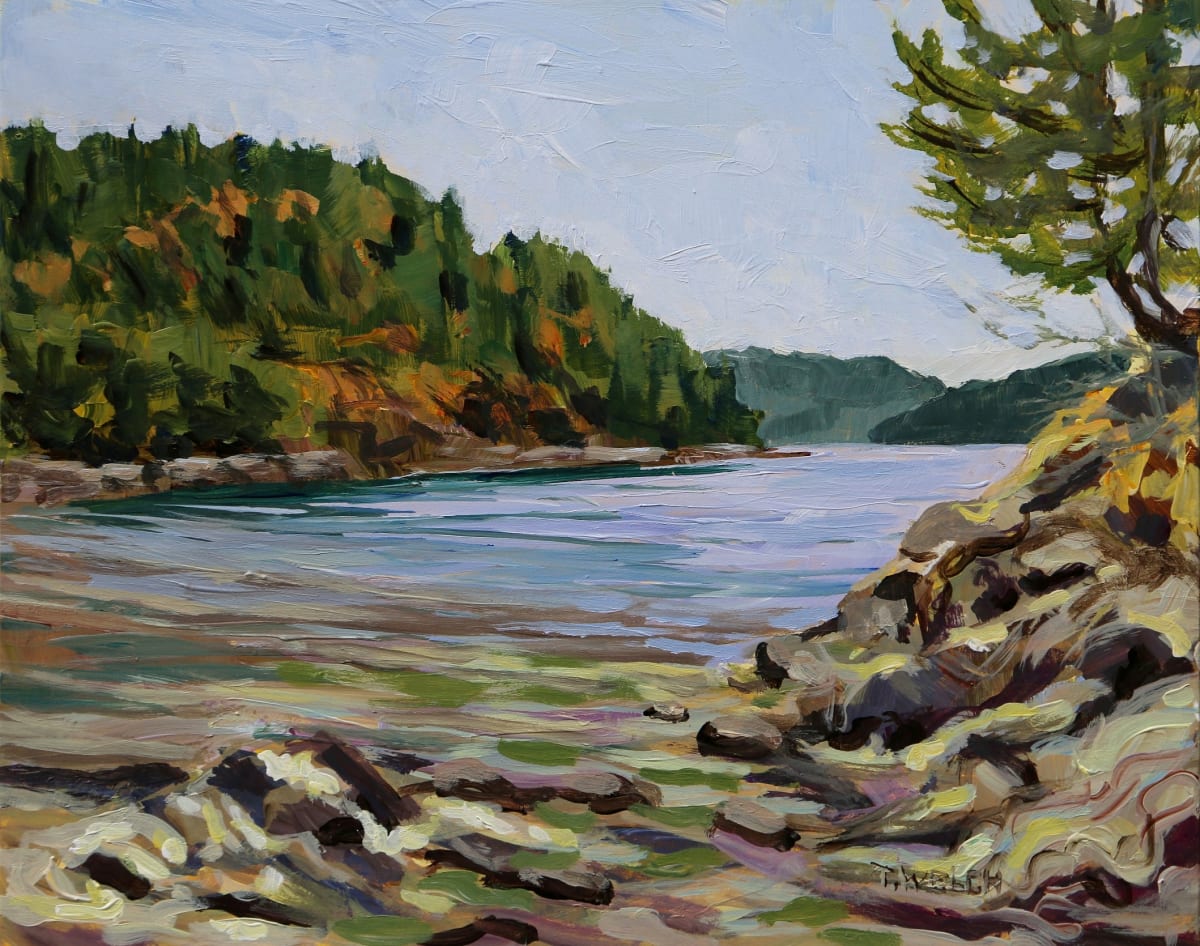 August midday at Piggott Bay by Terrill Welch 