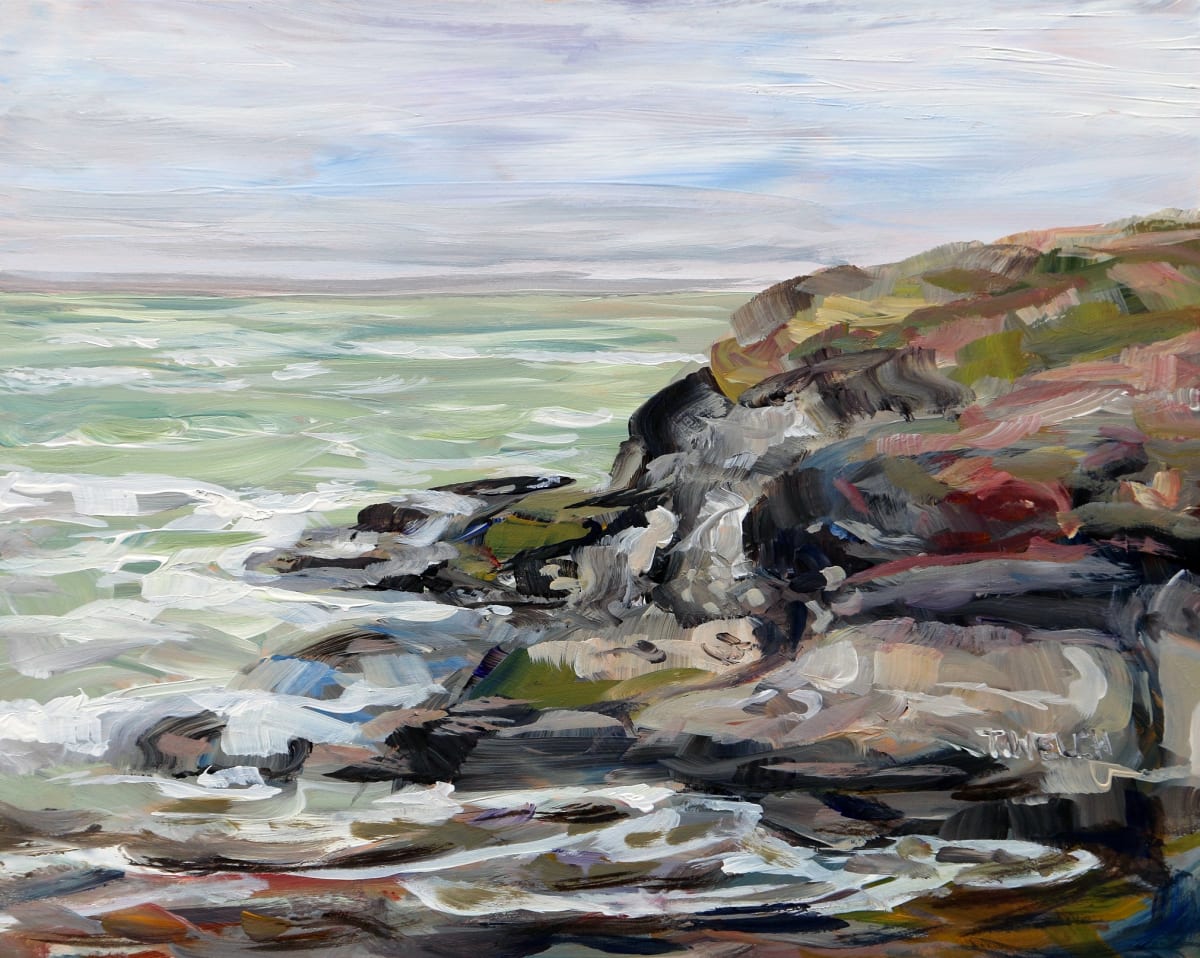 Brisk Breeze Cotton Park 