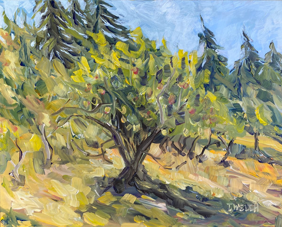 Morning in the Orchard 