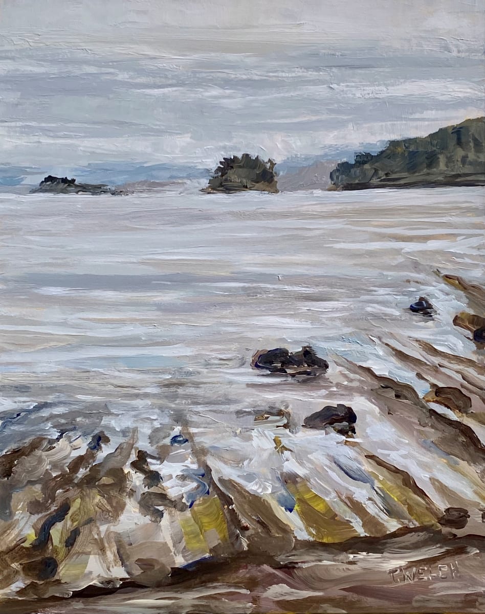 Seaview Grey Study by Terrill Welch 