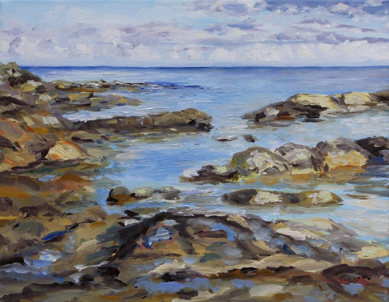 Early November Sea by Terrill Welch  