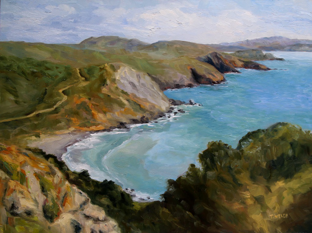Early Spring Muir Beach Overlook California by Terrill Welch  