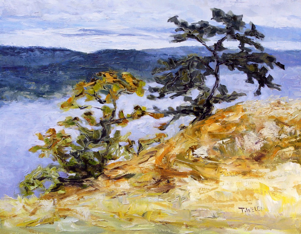 Garry Oaks on Brown Ridge by Terrill Welch  