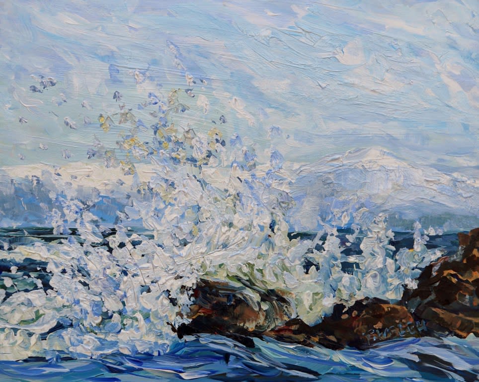 High Winds Strait of Georgia Mayne Island BC by Terrill Welch  