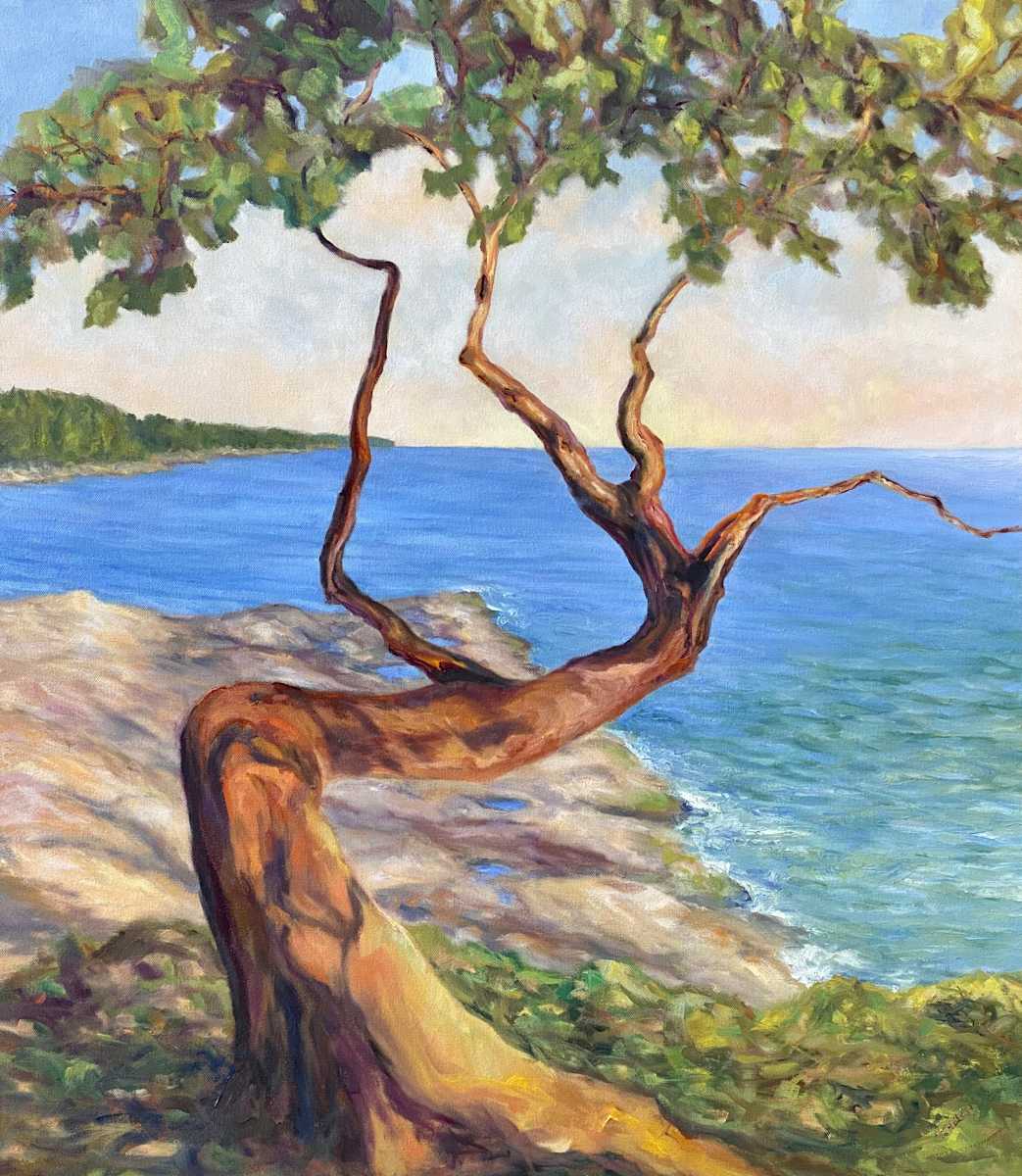 Solace Between Sea and Sky by Terrill Welch, Image 1.