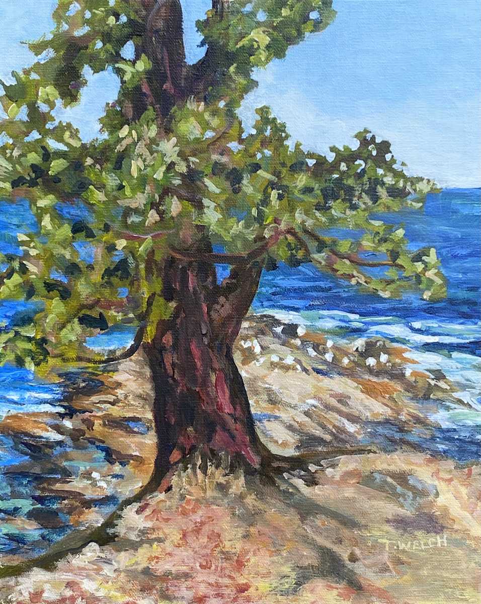 Arbutus in August by Terrill Welch, Image 1.