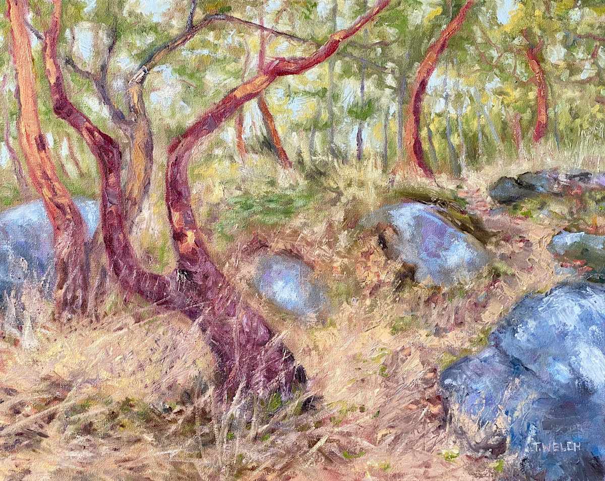 Summer Evening Izabella Point by Terrill Welch, Image 1.