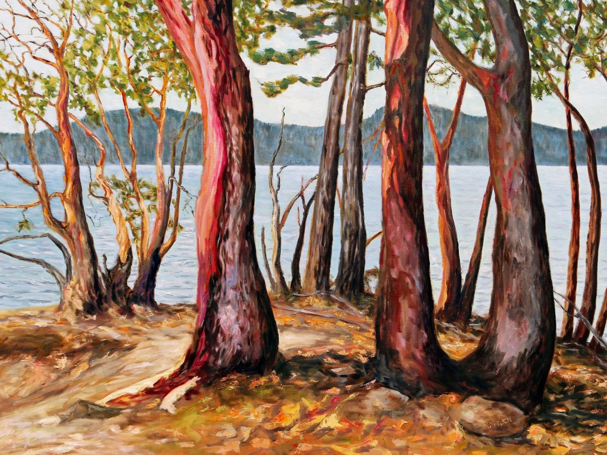 Morning With Arbutus Trees by Terrill Welch  