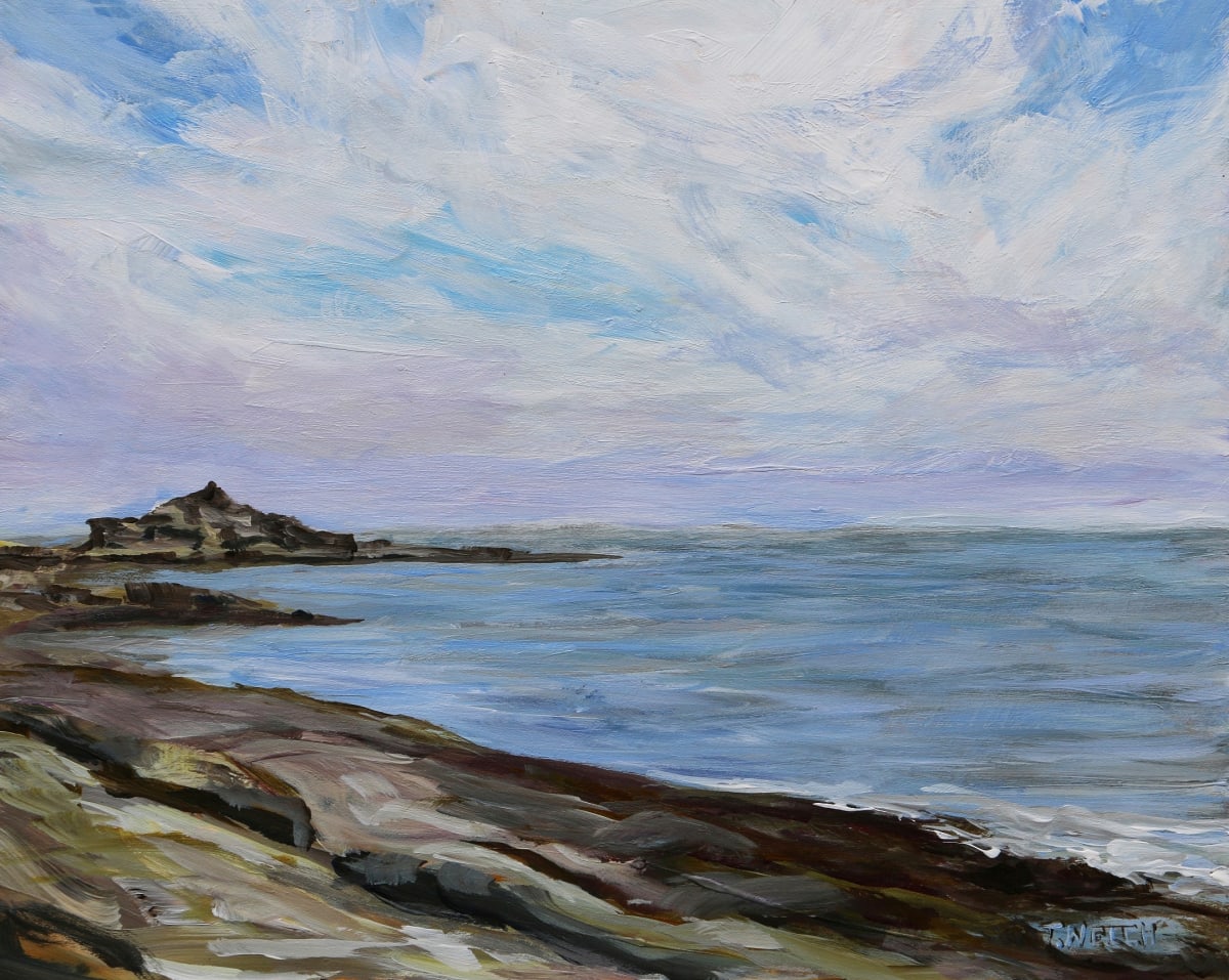 Reef Bay Looking Towards Oyster Bay by Terrill Welch 