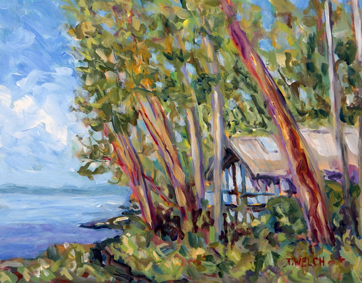 Sailing Through the Trees Study by Terrill Welch  
