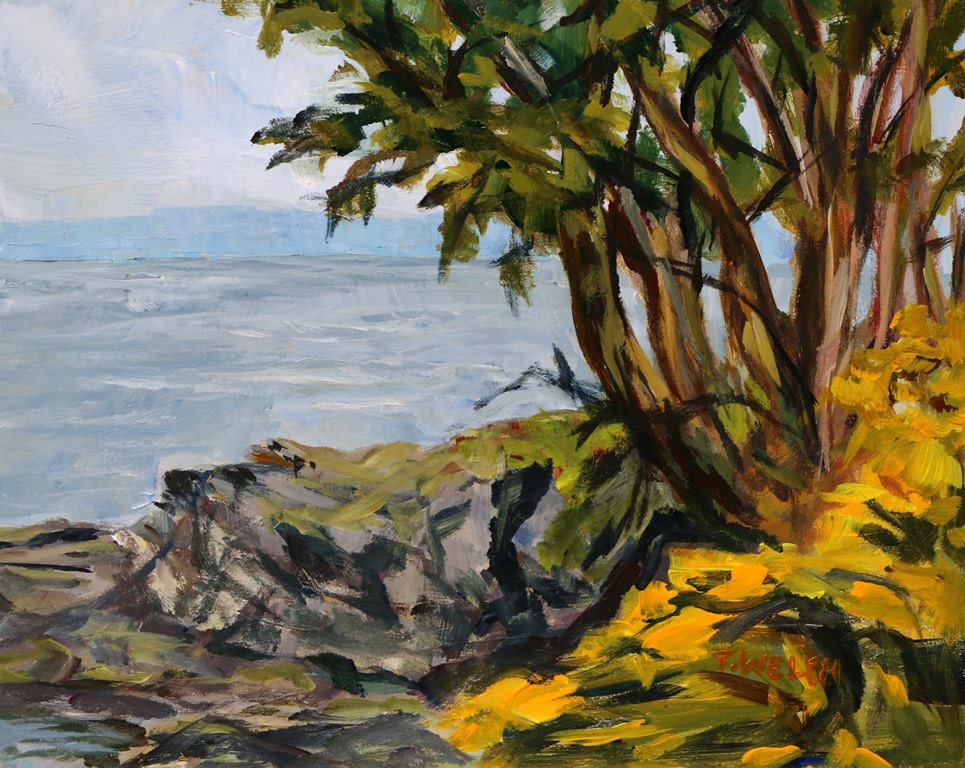 Scotch Broom and Arbutus Trees by Terrill Welch  