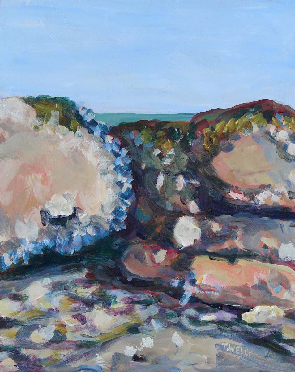 Sea Sandstone Oysters and Mussels Study by Terrill Welch 