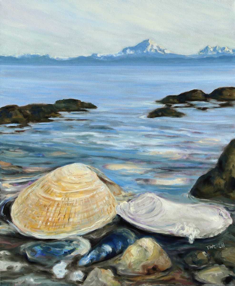 Seashells Midday at Reef Bay by Terrill Welch, Image 6.