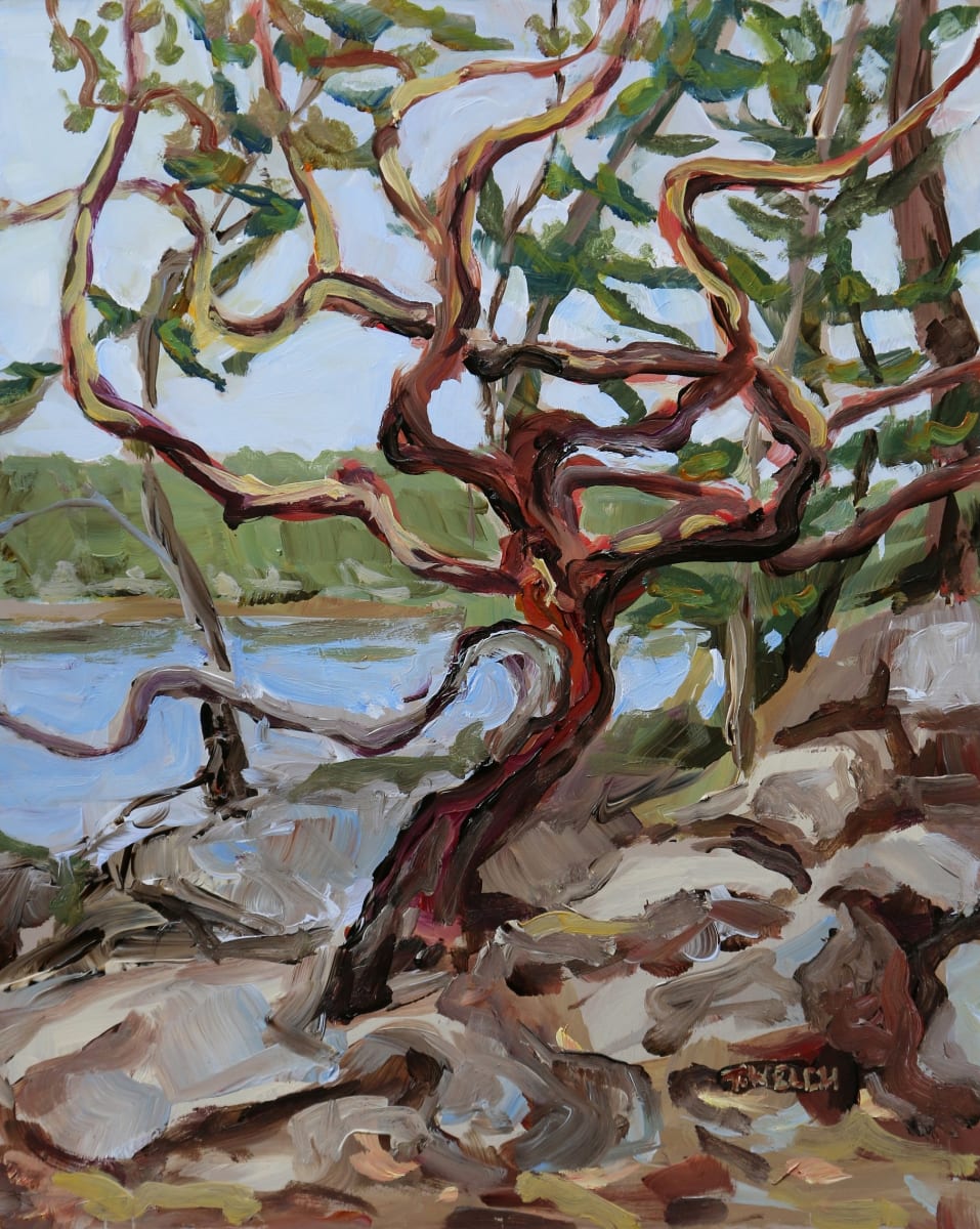 Shapely Arbutus Tree by Terrill Welch, Image 1.