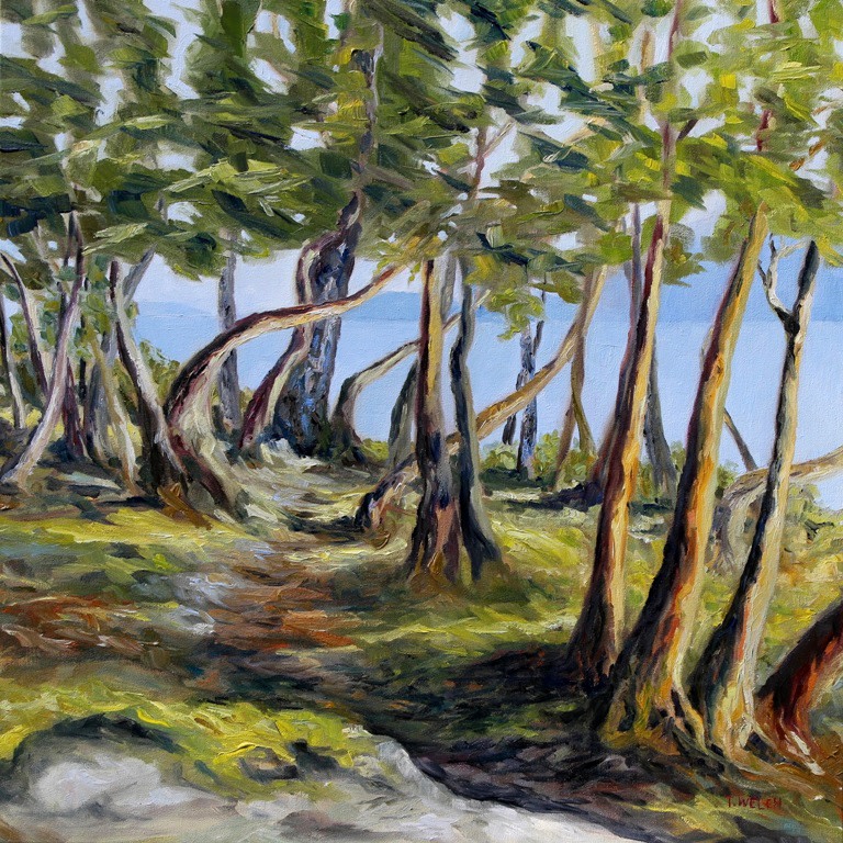Trail in the Arbutus Trees by Terrill Welch  