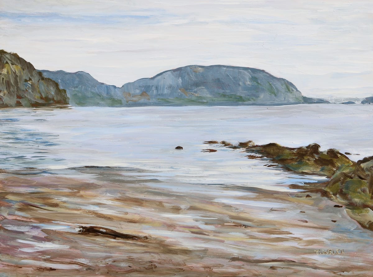 West Coast Grey, Image 1.