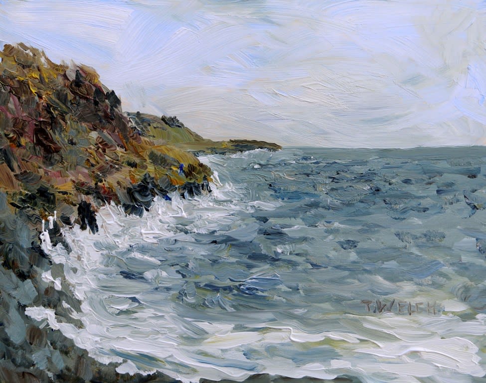 Westerly Winds Coming Ashore  by Terrill Welch  