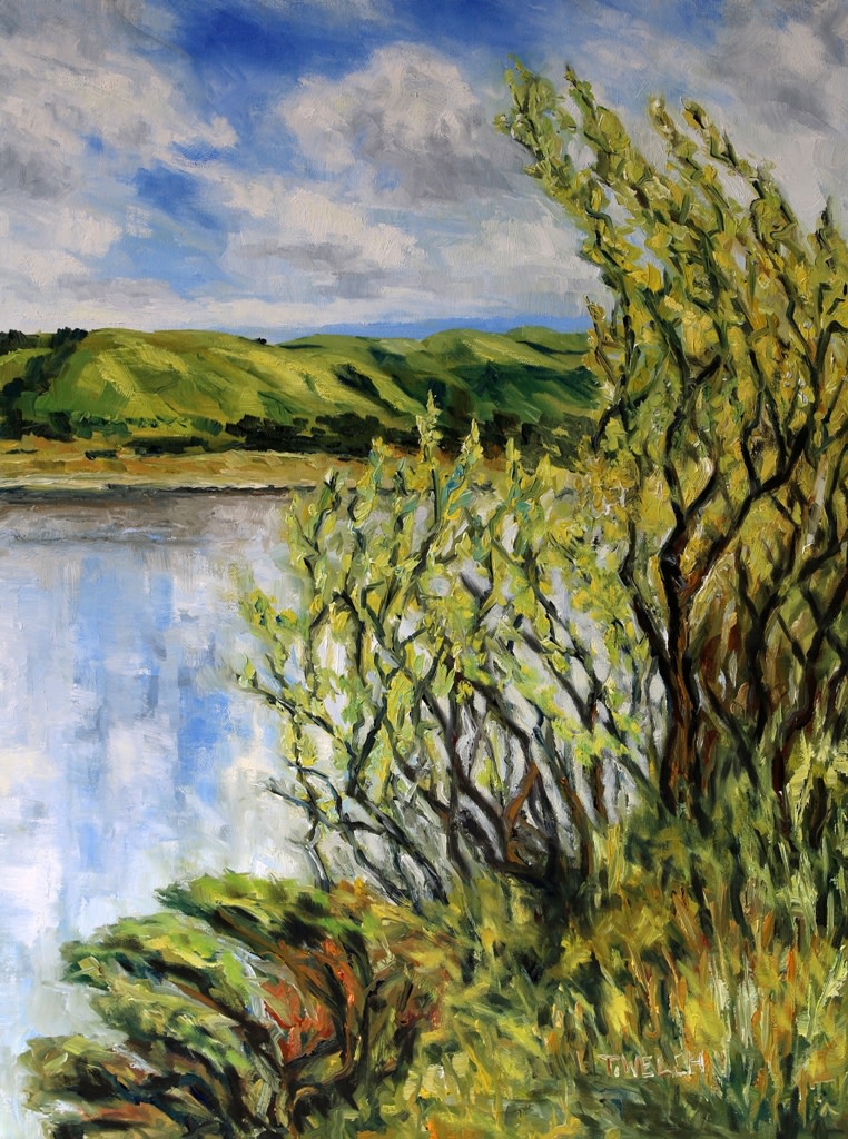 Willows Early Spring by the Quarry Lakes Fremont California by Terrill Welch 