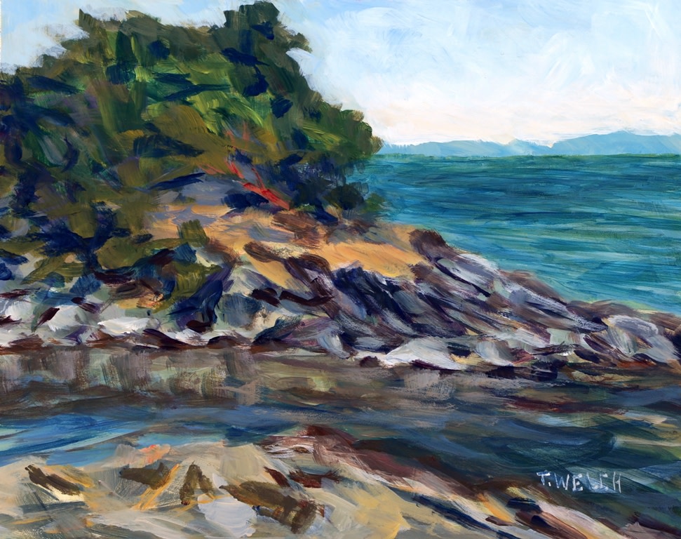 Winter Cove at Canoe Pass by Terrill Welch  