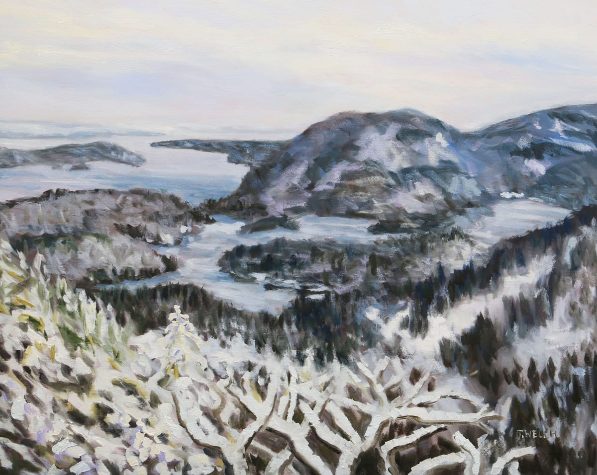 Winter View Mount Parke by Terrill Welch, Image 4.