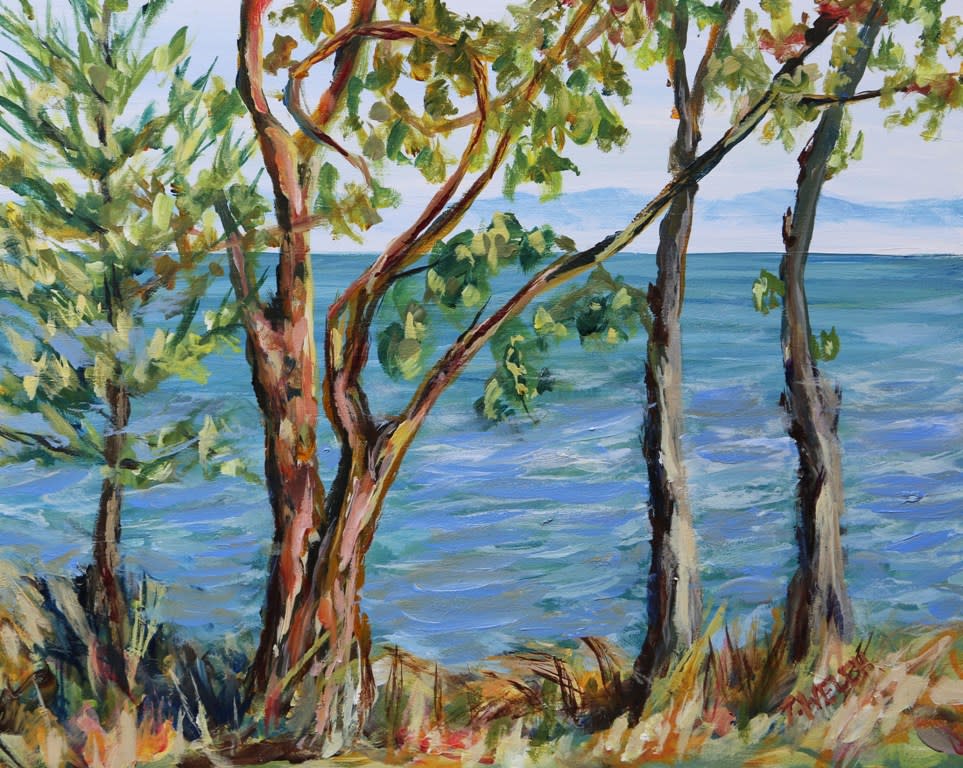 Through The Trees Isabella Point By Terrill Welch Artwork Archive