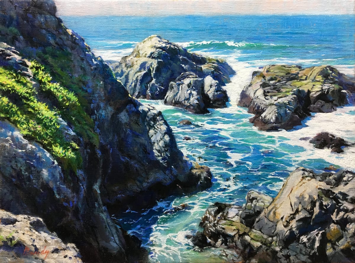 Bodega Bay Headlands 