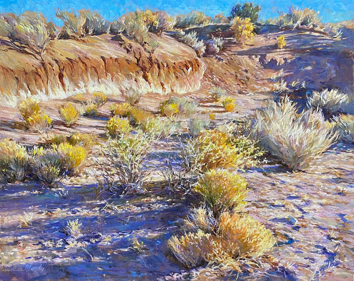 Desert Arroyo No 5 by Daniel Mundy 