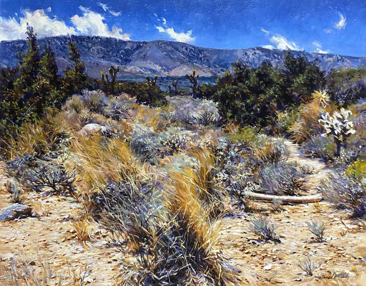 Desert Magic by Daniel Mundy 