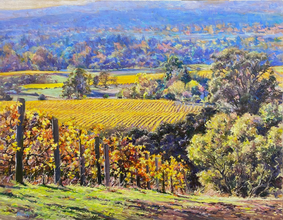 Napa Valley Overlook by Daniel Mundy 