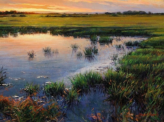 Summer Evening Rice Fields 