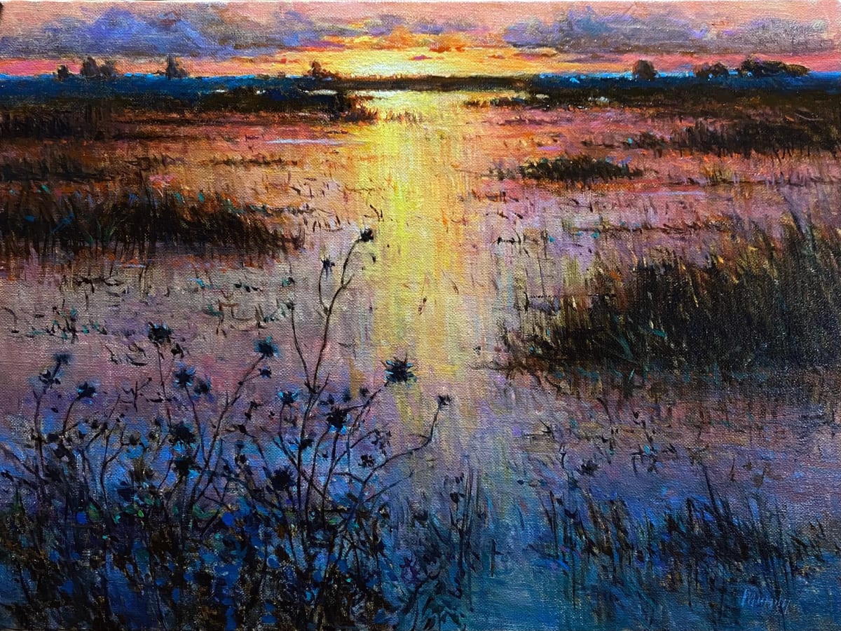 Sun Just Down - Wetlands by Daniel Mundy 